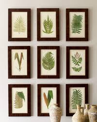 Nine Botanical Prints Framed Botanical Prints Botanical Prints Botanical Art Prints