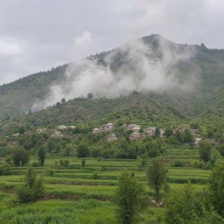 Ambush by TTP on a Pak Army ORF vehicle, 8 martyred. Pakistan has launched  massive retaliatory operation in the area. Cobra helicopters deployed. As  of now, 10+ TTP militants killed.