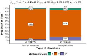 Image result for Pachylobus osika