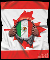 The flag of mexico is a vertical tricolor of green, white, and red with the national coat of arms charged in the center of the white stripe. Mexico Flag Canadian Flag Ripped Digital Art By Jose O