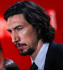 ADAM DRIVER UPDATES