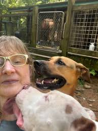 Happy Tails Playhouse added a new...