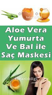 Aloe Vera Yumurta Ve Bal Ile Sac Maskesi Aloe Sac Saglik