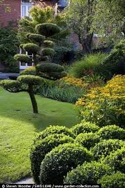 Pinned For A Project By Dorrit Kingsbury For Kingsbury Garden Design Llc Japanese Garden Topiary Garden Beautiful Gardens