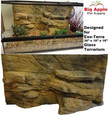 120414l Background 36x18 Jpg 563 600 Pixels Bearded Dragon Terrarium Bearded Dragon Terrarium
