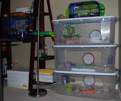 Clever Use Of Plastic Bins To Make A Hamster Cage Also Includes A How To Section To Make Your Own Hamster Diy Cage Hamster Cage Hamster Diy