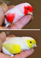 تنظر إليّ أكثر مما أنظر إليها. ÙƒÙŠÙÙŠØ© Ø§Ø®ØªÙŠØ§Ø± Ø§Ù„Ø£Ù„ÙˆØ§Ù† Ø£Ø«Ù†Ø§Ø¡ Ø§Ù„ØªØ²Ø§ÙˆØ¬