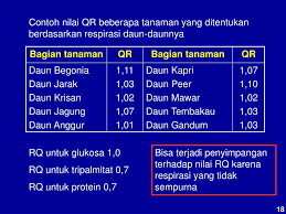 Check spelling or type a new query. Ppt Respirasi Powerpoint Presentation Free Download Id 6958622