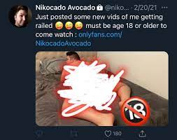 Nikocado avocado getting railed