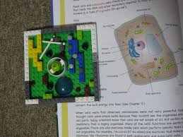 Maybe you would like to learn more about one of these? Building A Cell Model Precious Treasures