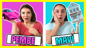 Tek Renk Dokundugunu Kazan Challenge Neye Dokunursan Senin Olur Bidunya Oyuncak Youtube