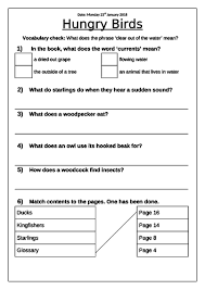 Comprehension Phonics Bugs Hungry Birds Green Band Phase 5 Teaching Resources