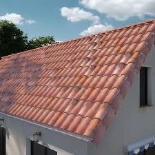 Faitiere Aretier A Emboitement 301xg Terreal Pastel Occitan Tuile Rouge Naturel Pastel