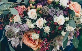 We did not find results for: Thousands Of Flowers Sent Out To Bring Joy Before The Lockdown Rnz News