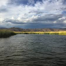 Get free shipping on $49+. Challenge In Paradise Fly Fishing Silver Creek The Contender