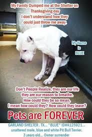 Pets Should Be Forever This Makes Me Want To Cry Animal Rescue Animal Lover Adoption