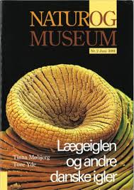 See actions taken by the people who manage and post content. Laegeiglen Og Andre Danske Igler
