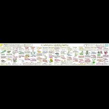 Womans Healing Herbs Chart Liz Cook Charts