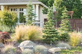 Other varieties that are drought tolerant are the listada de gandia and the rosa bianca. Planning For An Ornamental Garden Ornamental Grasses