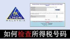 Lembaga hasil to check whether an income tax number has already been issued to you, click on semak no. Lhdn å¦‚ä½•æ£€æŸ¥lhdn æ‰€å¾—ç¨Žå·ç l How To Check Lhdn Tax No Youtube