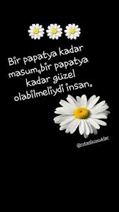 Bir Papatya Kadar Masum 2020 Papatyalar Ilham Verici Sozler Resimli Alintilar
