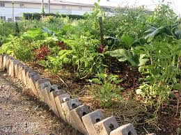 Can i make my own raised garden beds? How Deep Should A Raised Garden Bed Be Advice For Your Project