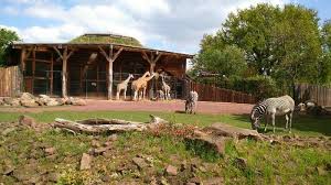 Garten angebote günstig in magdeburg. Zoo Zoologischer Garten Magdeburg Ggmbh Kai In Magdeburg In Das Ortliche