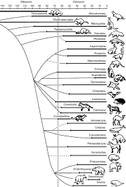 Mass Extinction An Overview Sciencedirect Topics