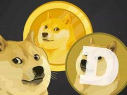 Ð and d) is a cryptocurrency featuring a likeness of the shiba inu dog from the doge internet meme as its logo. Dogecoin Wie Sieht Doge Eine Woche Vor Elon Musks Saturday Night Live Auftritt Am 8 Mai Aus Finanztrends