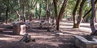 Sep 14, 2017 · uvas canyon park: Uvas Canyon County Park Outdoor Project