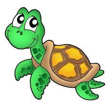 Here are some turtle drawings in their easiest format. Little Sea Turtle Color Illustration Sponsored Turtle Sea Illustration Color Ad Turtle Drawing Sea Turtle Drawing Cartoon Turtle