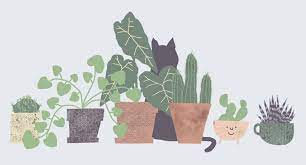 Cats And Plants By Arpita Choudhury Digital Illustration In 2021 Desktop Wallpaper Art Imac Wallpaper Plant Wallpaper