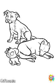 Perros Perros Dibujo De Perro Diferentes Razas De Perros