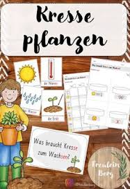 Beobachtungsbogen im kindergarten spielen eine. 31 Naturpadagogik Projekte Ideen In 2021 Naturpadagogik Naturphanomene Padagogik