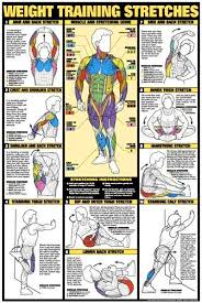 1 Fitness Weight Training Flexibility Poster Body Building