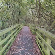 Anne Stack (@stackanne) • Instagram photos and videos