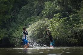 Jungle Lodges In Belize Table Rock Jungle Lodge Travelingmel Weather In Belize Belize Resorts Best Family Resorts