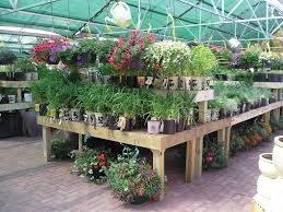 We did not find results for: Husband And Wife Teams On What It Takes To Run A Garden Center Garden Center Magazine