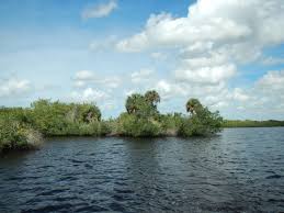 Conservation Foundation Myakka River