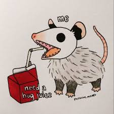 Trash Daddy On Instagram 2 12 Possum Opossum Mood Drawing Meme Cute Drawings Creepy Drawings Cute Art
