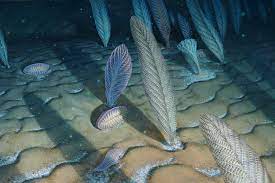 Why Deep Oceans Gave Life To The First Big Complex Organisms Stanford News