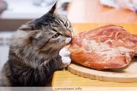 Can cats eat raw fish? 9 Facts About Can Cats Eat Ham Is Ham Toxic For Cats To Eat