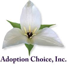 Looking to send fresh flowers or gifts. Adoption Agency Green Bay Wi Adoption Choice Inc
