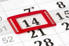 SME Business Guide to STP Finalisation | TMS Financials