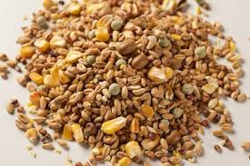 45 likes · 1 talking about this. Pigeon Seed Food 4 Season 20kg Bag Pigeon Corn Bird Feed Ebay