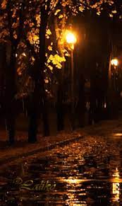 Simple Pleasures Rainy Day Photography Scenery Autumn Rain
