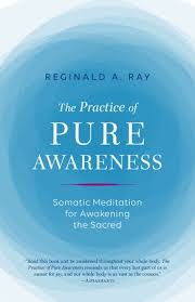 The Practice Of Pure Awareness By Reginald A Ray 9781611803815 Penguinrandomhouse Com Books Awareness Mindfulness Books How To Better Yourself