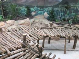 Consultez le plan du parc et repérez l&#039;emplacement des serres tropicales, volières, et animaux stars du zooparc de beauval: Les Installations Des Pandas A Beauval