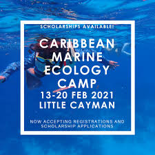 We're on our way to little cayman with many thanks to island air! We Have Six Ccmi Central Caribbean Marine Institute Facebook