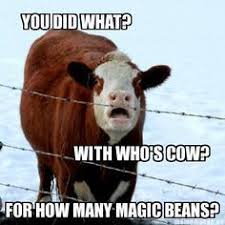 Funny Cow Memes Google Search Cows Funny Funny Cow Pictures Cow Pictures